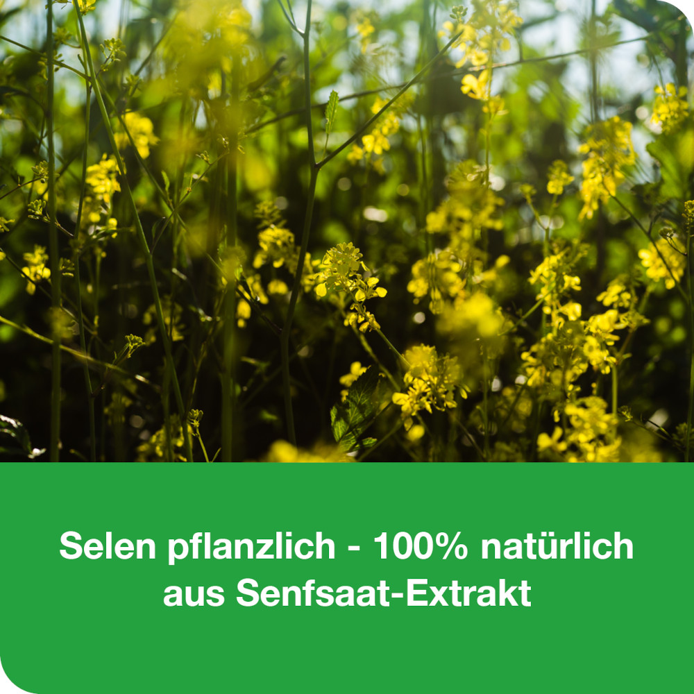 selen-Loges 200µg pflanzlich 60 St Filmtabletten