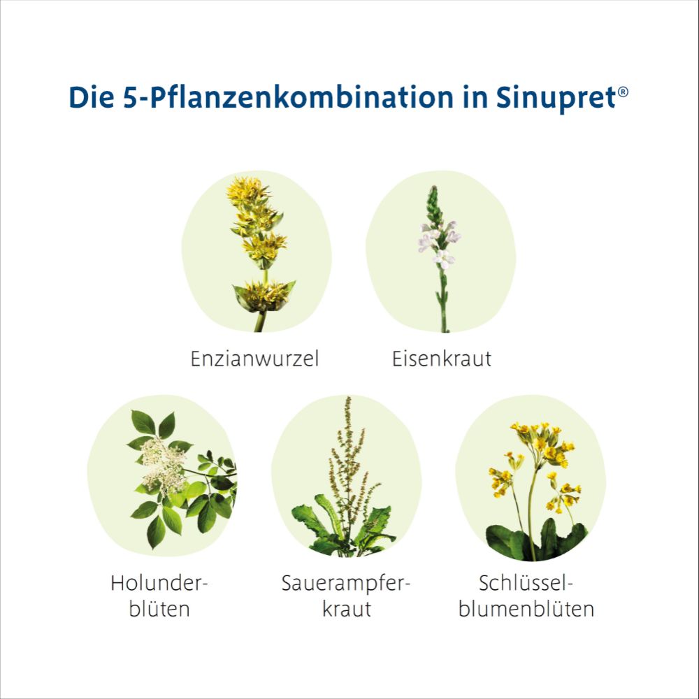 Sinupret 100 St Überzogene Tabletten