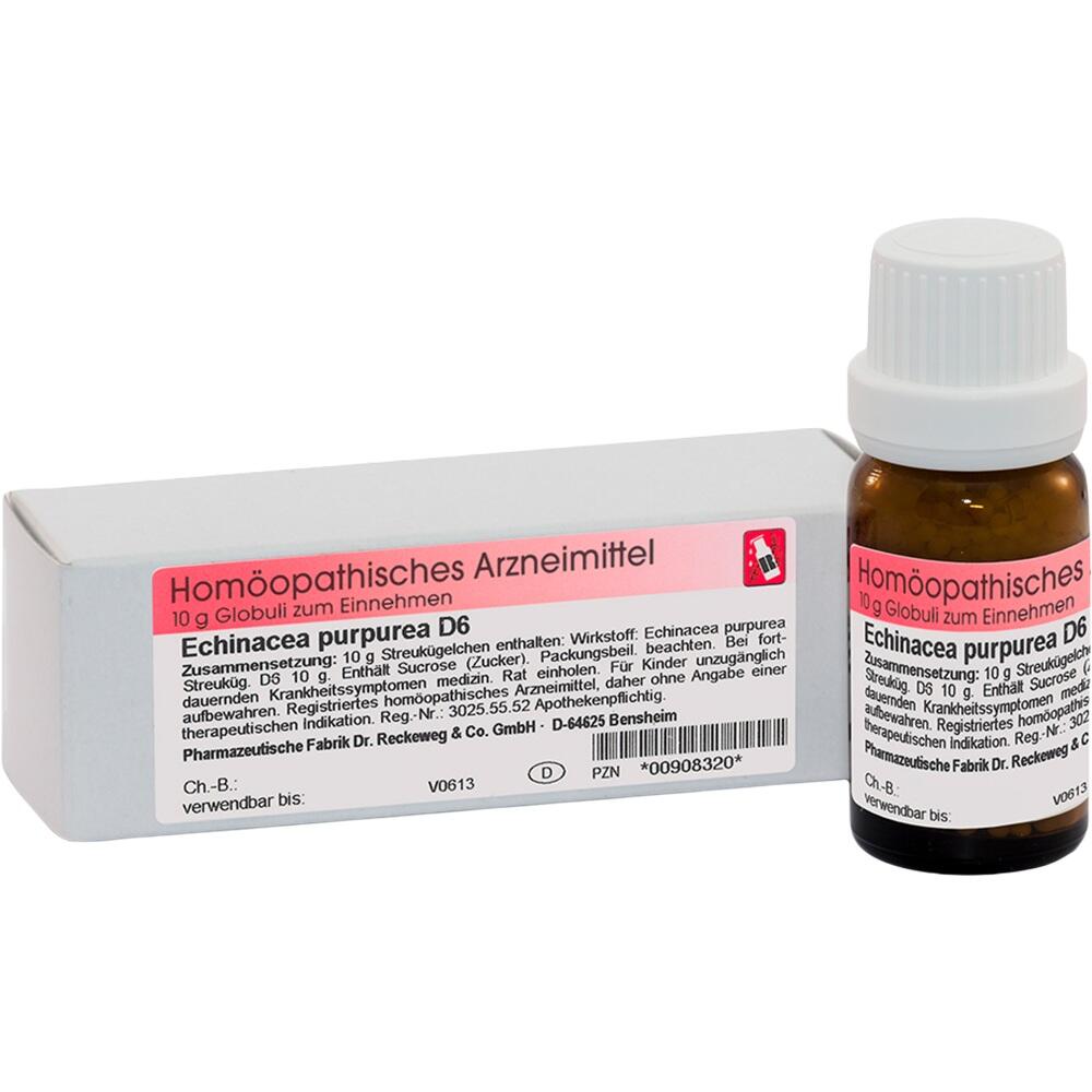 ECHINACEA PURPUREA D 6 10 g Globuli