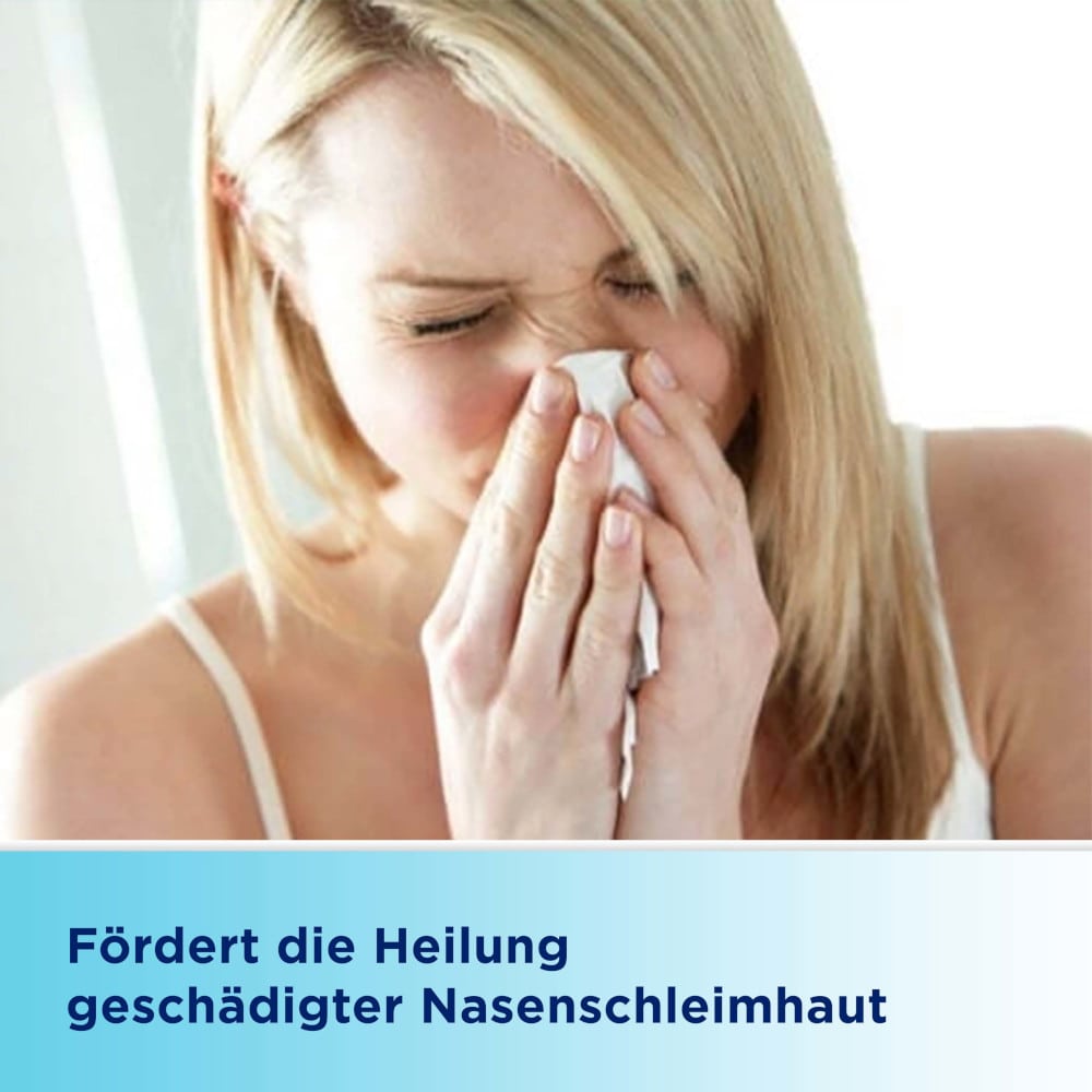 Bepanthen AUGEN- UND NASENSALBE 10 g Augen- und Nasensalbe