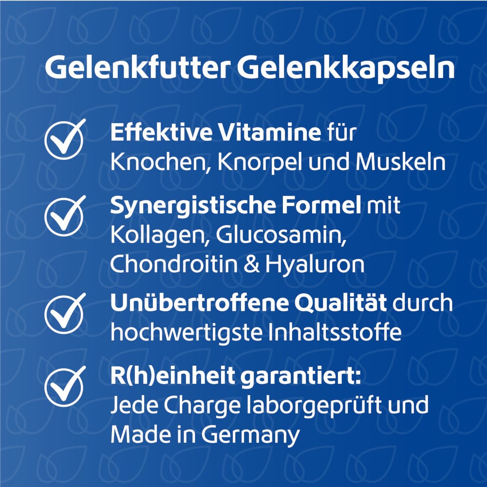R(h)ein Nutrition Gelenkfutter 240 St Kapseln