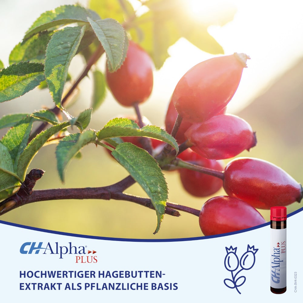 CH Alpha PLUS Monatspackung 30 St Trinkampullen