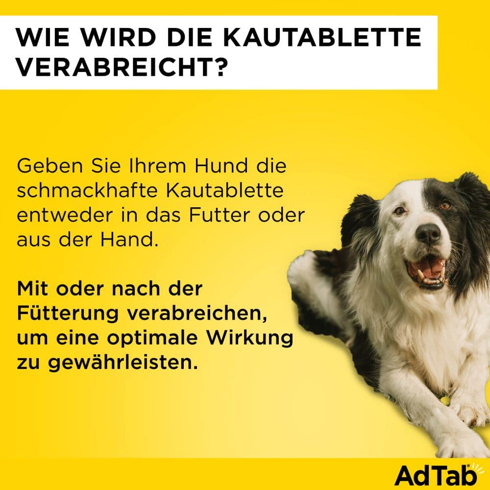 AdTab Kautabletten 56mg für Hunde 1,3-2,5 kg Elanco 3 St Kautabletten