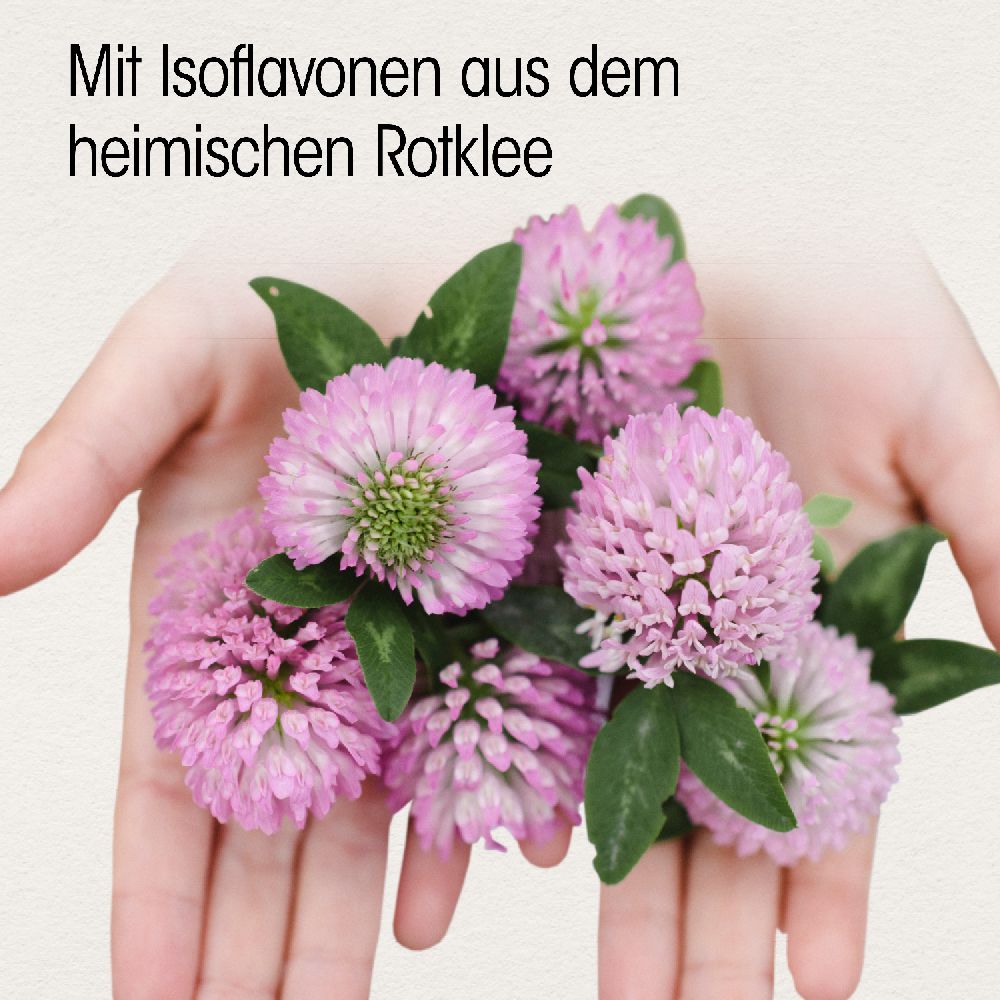 Dr. Böhm Isoflavon 90 mg Dragees 60 St Dragees