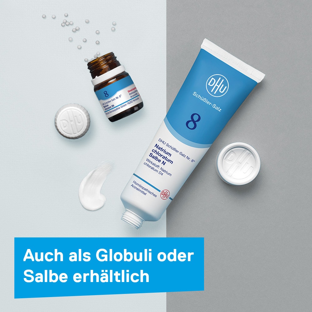 DHU Schüßler-Salz Nr. 8 Natrium chloratum D6 420 St Tabletten
