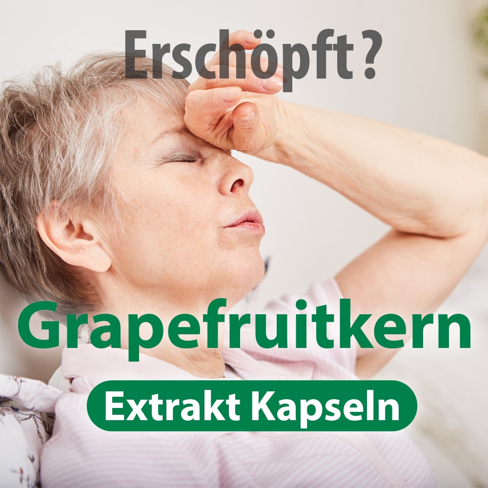 GRAPEFRUIT KERN Extrakt Kapseln 60 St Kapseln