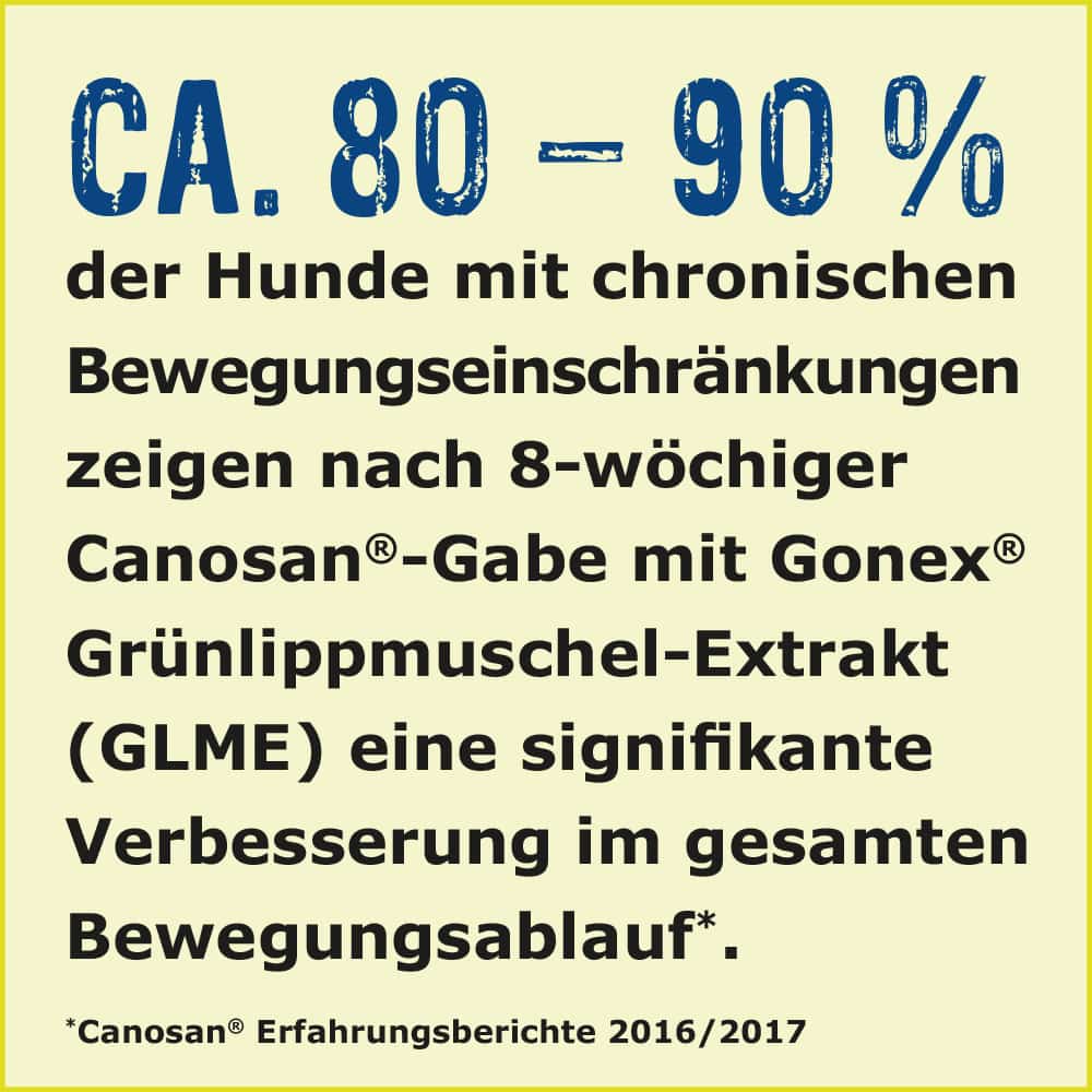 CANOSAN Pellets bei Gelenkproblemen Hund mit Grünlippmuschel-Extrakt Gonex 650 g Konzentrat CANOSAN Pellets bei Gelenkproblemen Hund mit Grünlippmuschel-Extrakt Gonex 650 g Konzentrat