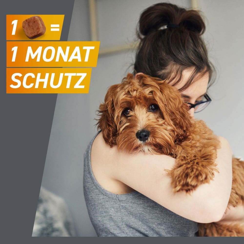 FRONTPRO Kautabletten Hunde 4-10 kg Doppelpack 2X3 St Kautabletten