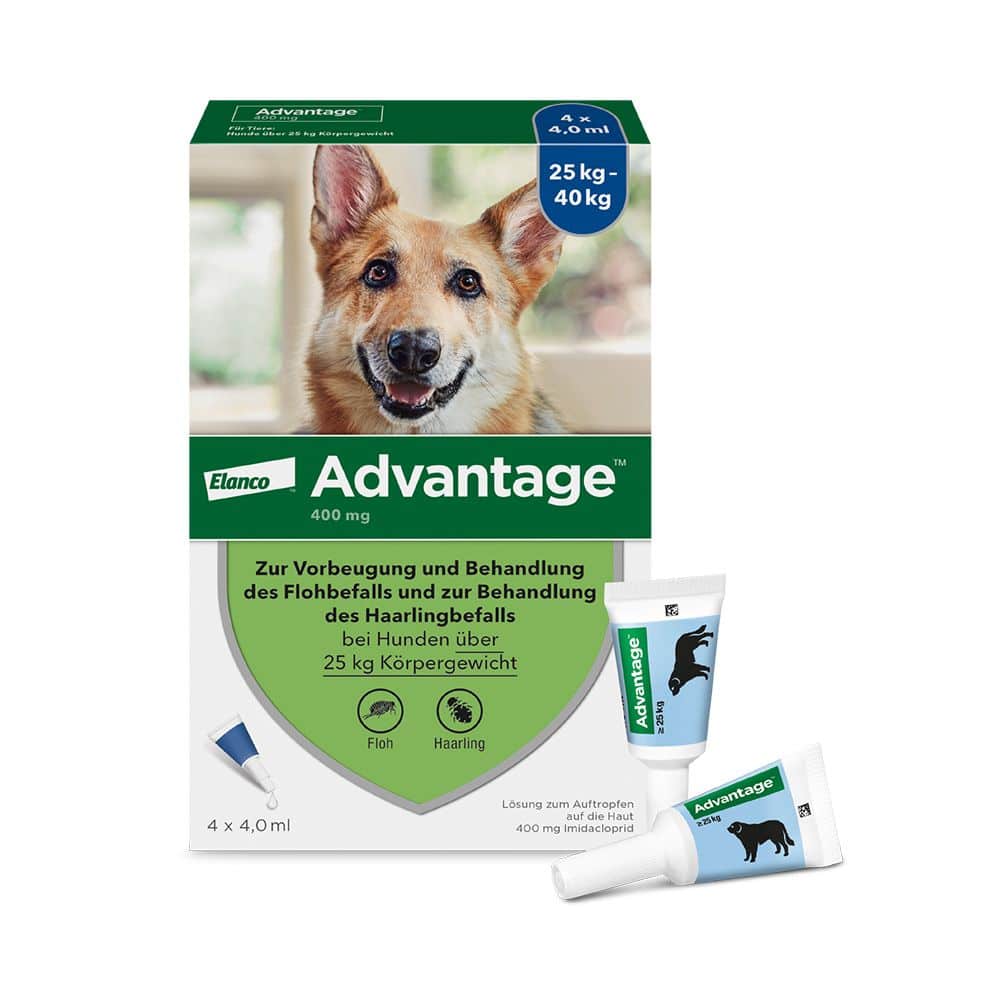 Advantage 400 Lösung Pipetten für Hunde ab 25 kg 1X4 St Lösung