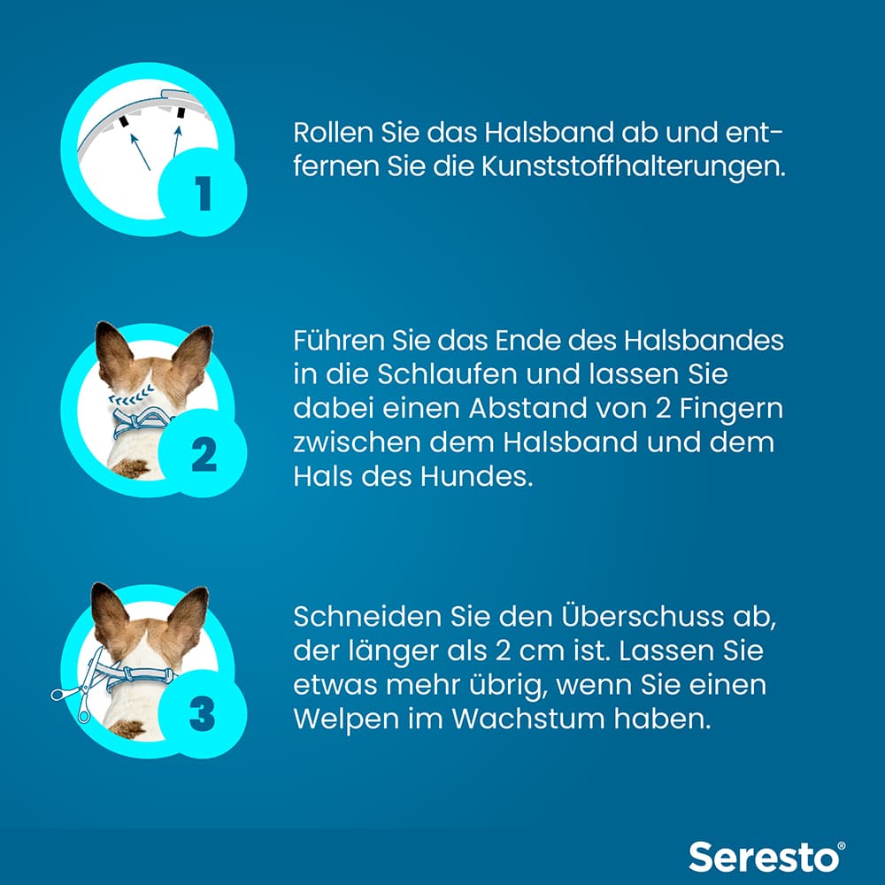 Seresto Halsband für kleine Hunde bis 8 kg 1 St Halsband