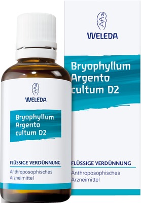 WELEDA BRYOPHYLLUM ARGENTO cultum D 2 Dilution 50 ml Dilution