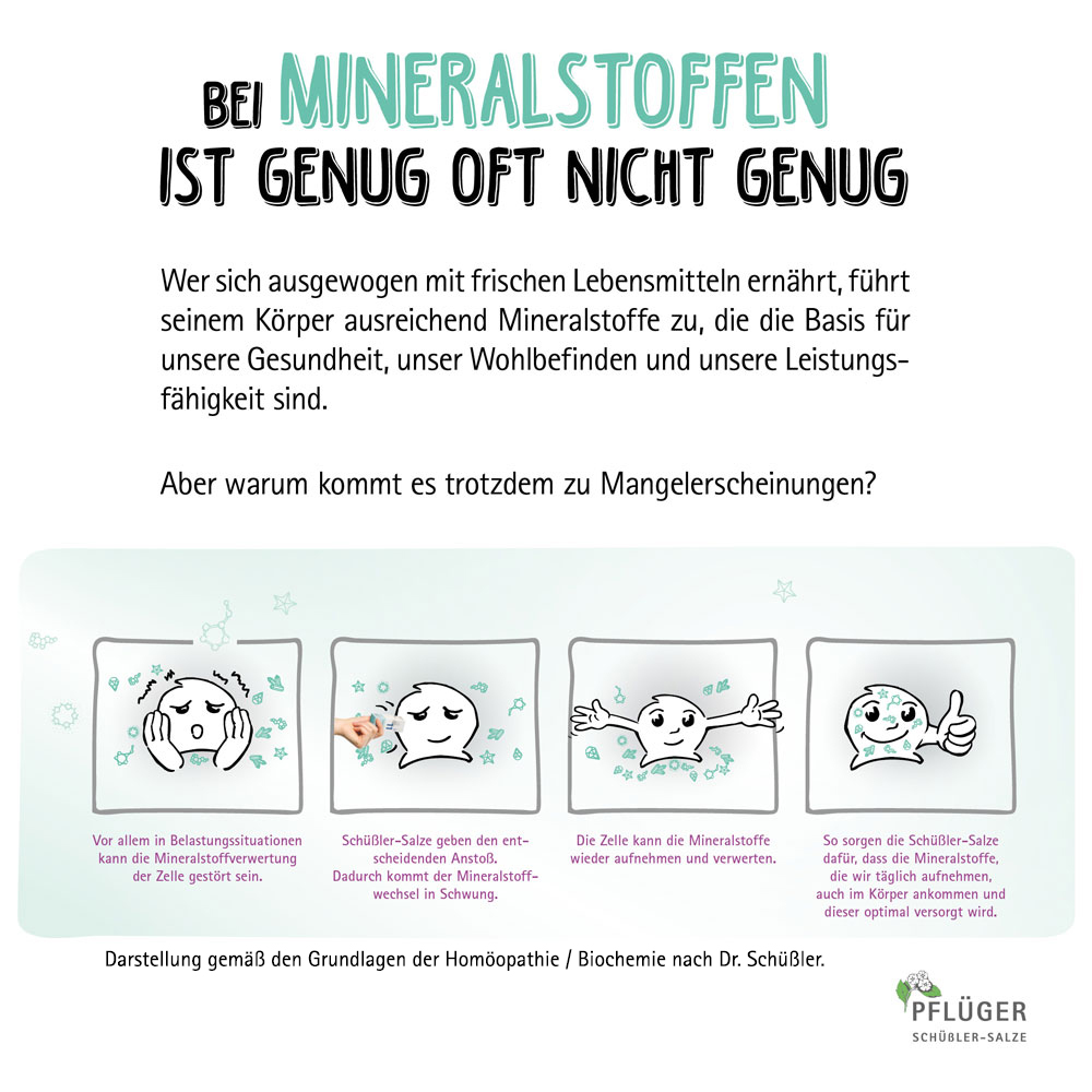 Schüßler-Salz Nr. 7 Magnesium phosphoricum D6 1000 St Tabletten