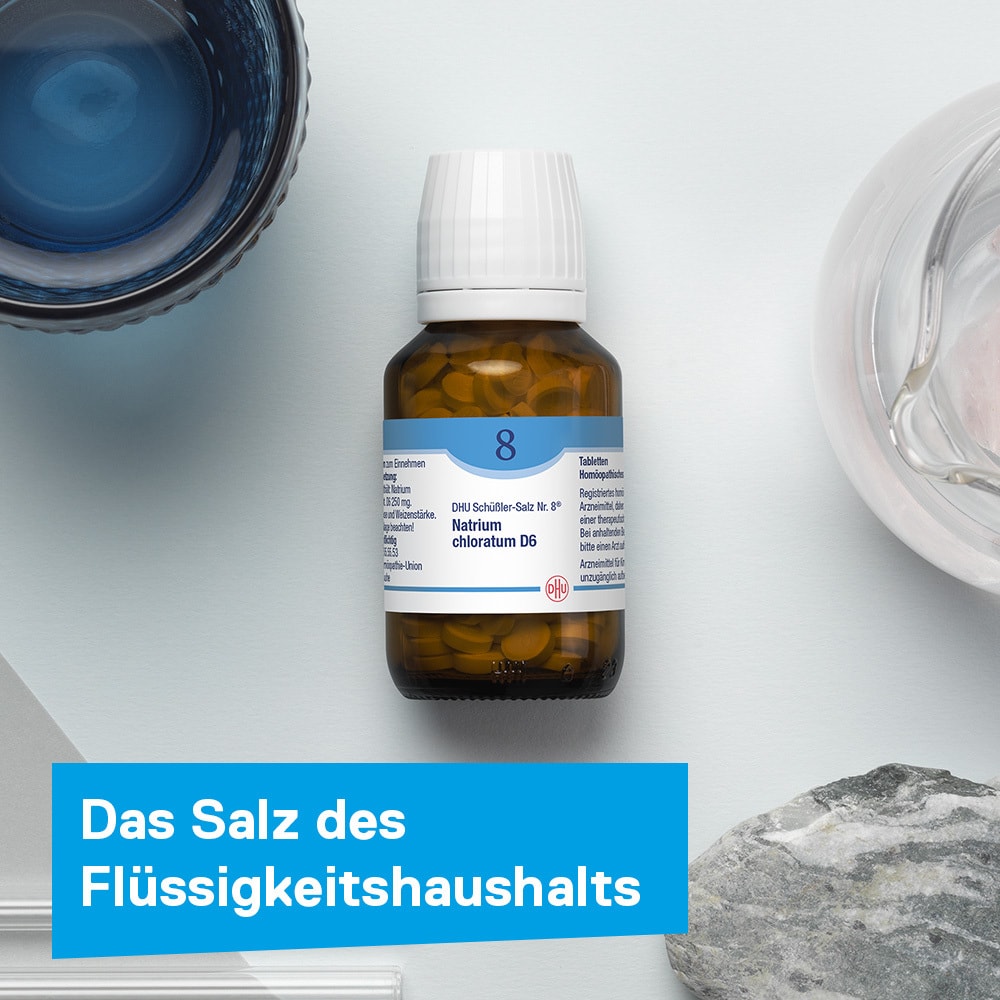 DHU Schüßler-Salz Nr. 8 Natrium chloratum D6 420 St Tabletten