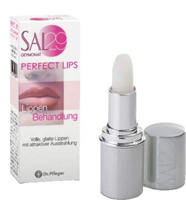SAL 29 Perfect Lips 4 g Körperpflege