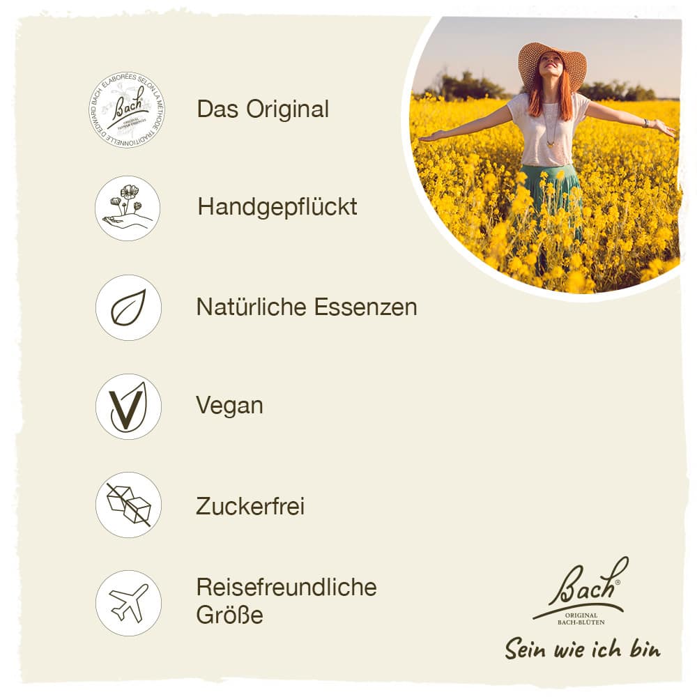 BACHBLÜTEN Original Gorse Nr. 13 20 ml Tropfen