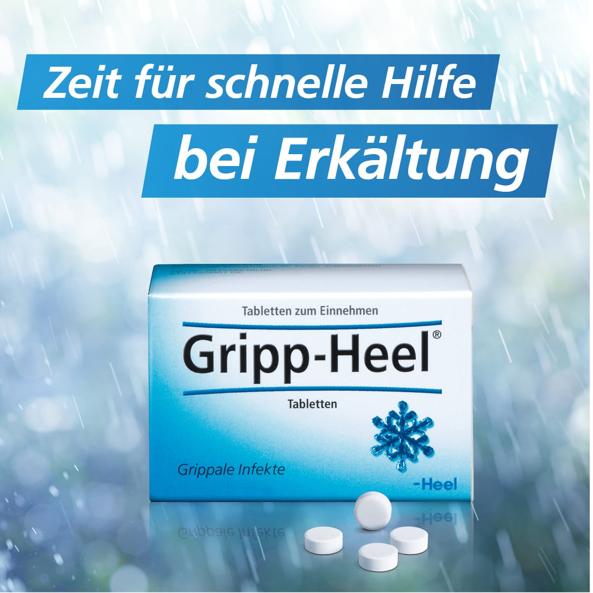 Gripp-Heel bei grippalen Infekten 250 St Tabletten