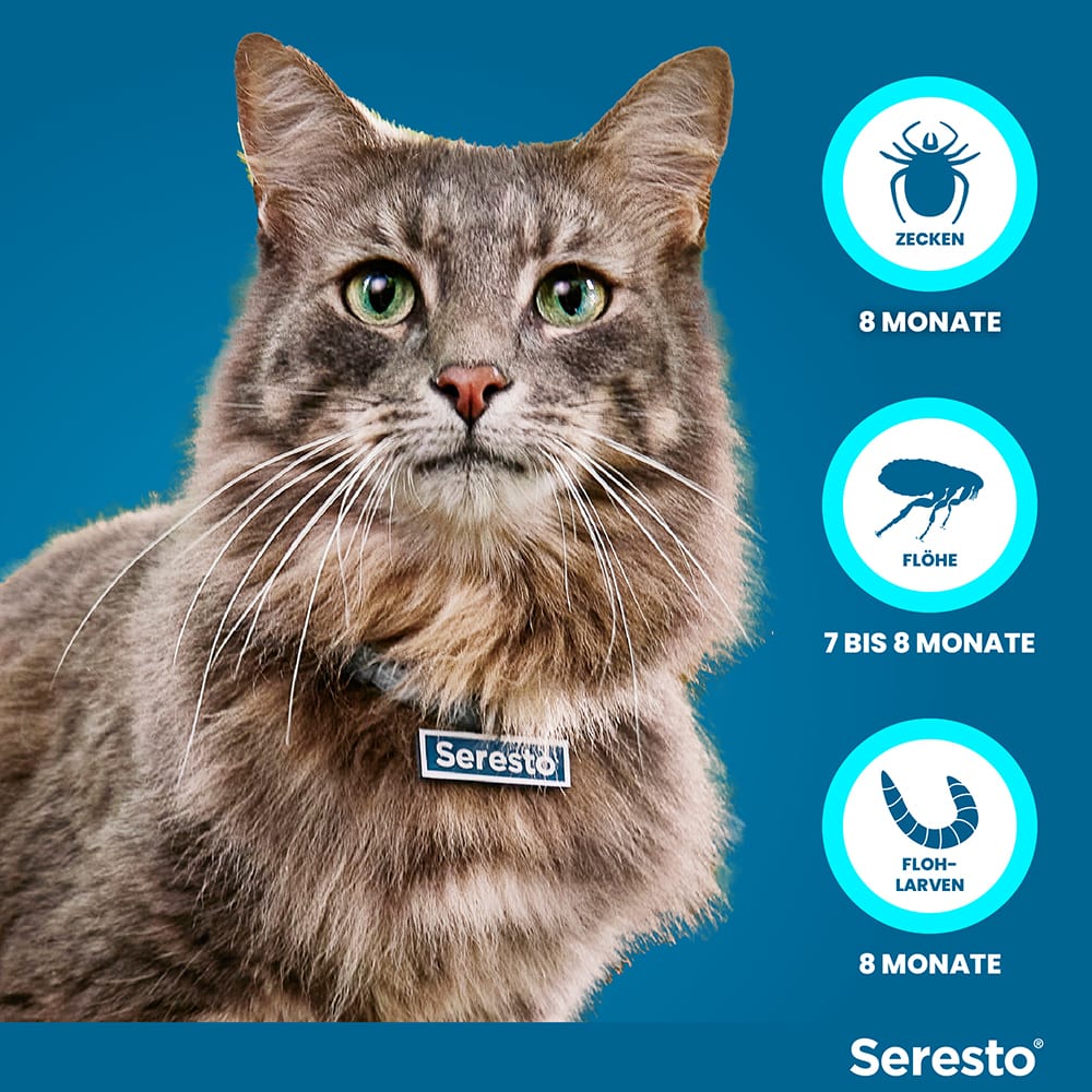 Seresto Halsband für Katzen 1 St Halsband