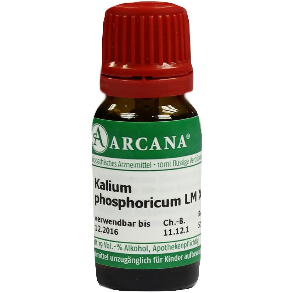 KALIUM PHOSPHORICUM LM 12 Dilution 10 ml Dilution
