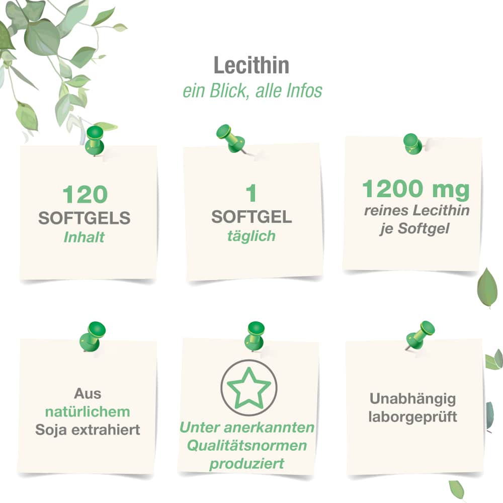 vitabay LECITHIN 1200µg 120 St Weichkapseln