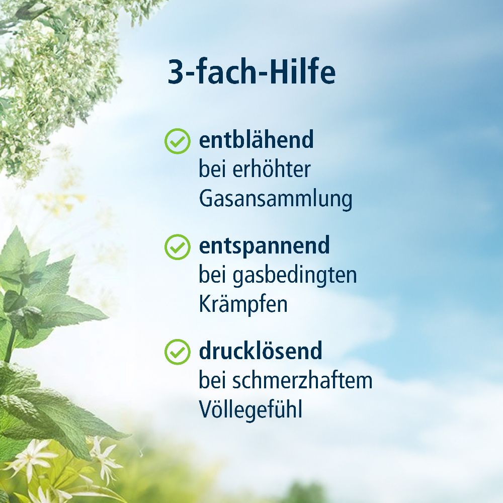 KLOSTERFRAU Magen-Darm Entspannung  20 St Kapseln