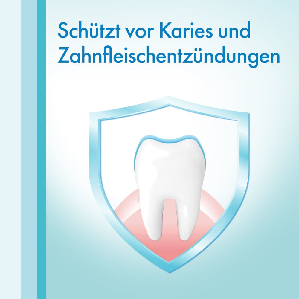 meridol FLAUSCH-ZAHNSEIDE gewachst mit frischem Mint-Aroma 40 m
