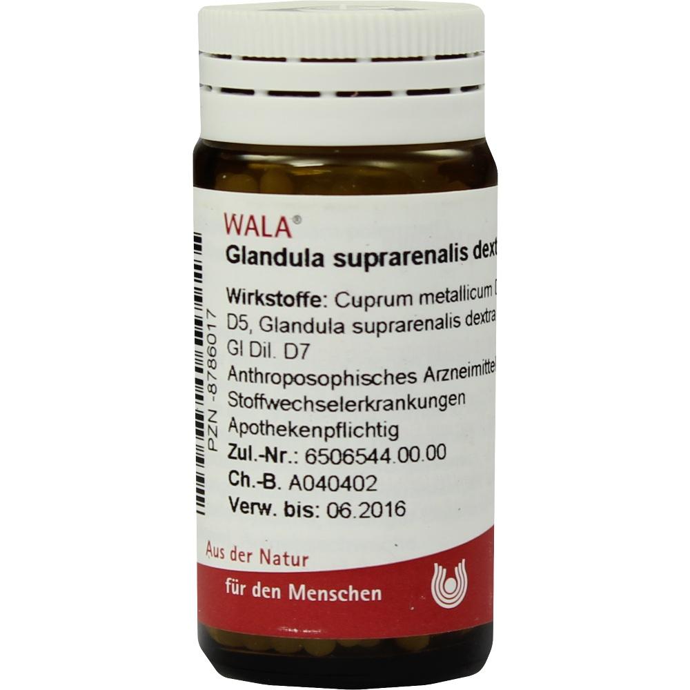 WALA GLANDULA SUPRARENALIS dextra cum Cupro Globuli 20 g Globuli