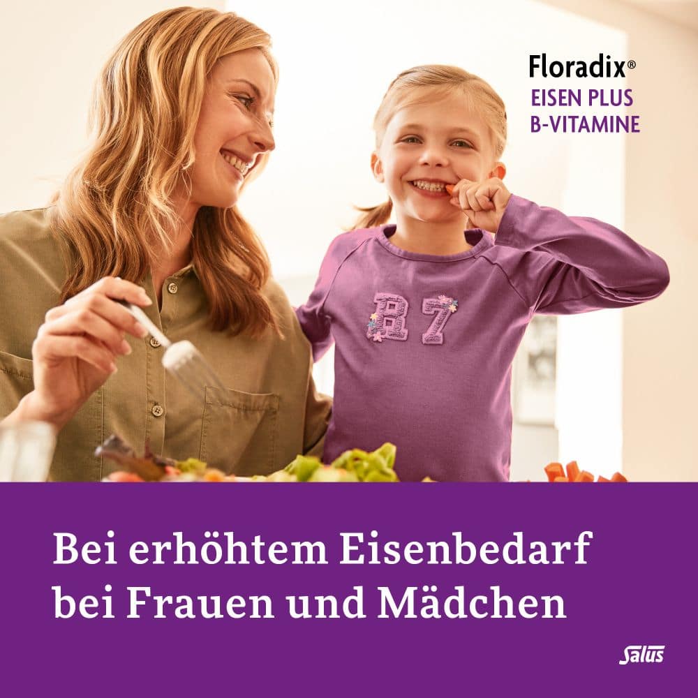 Floradix Eisen plus B-Vitamine 40 St Kapseln