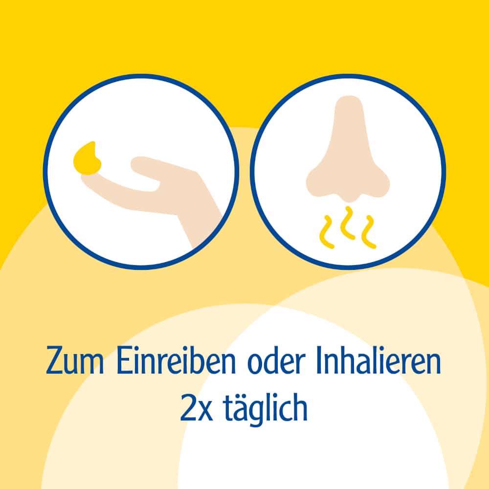 Pinimenthol Erkältungsbalsam mild ab 2 Jahren - mit Eucalyptus- und Kiefernnadelöl 50 g Salbe