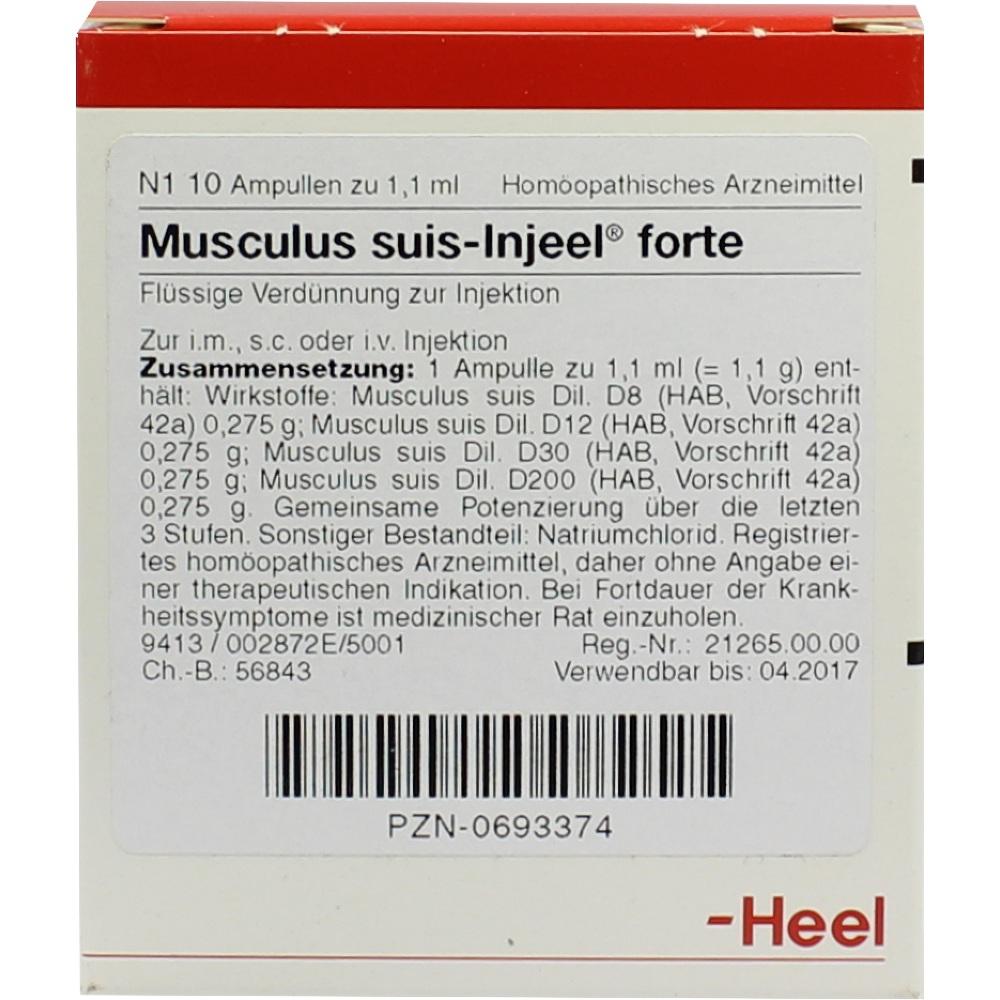 MUSCULUS SUIS Injeel forte Ampullen 10 St Ampullen