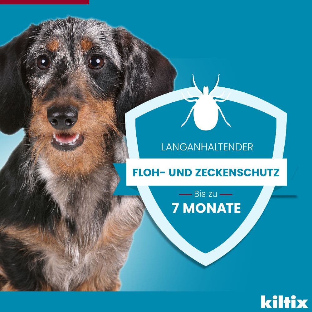KILTIX Halsband für große Hunde 1 St Halsband