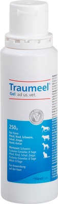Traumeel Gel ad us. vet. 1X250 g Gel