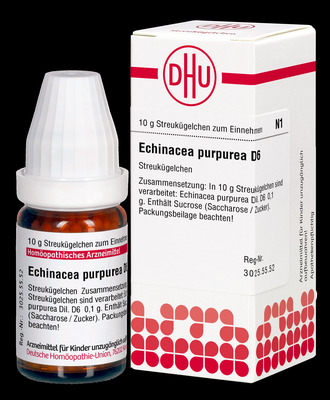ECHINACEA PURPUREA D 6 Globuli 10 g Globuli