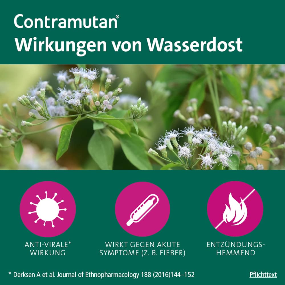 CONTRAMUTAN Tropfen 50 ml Mischung