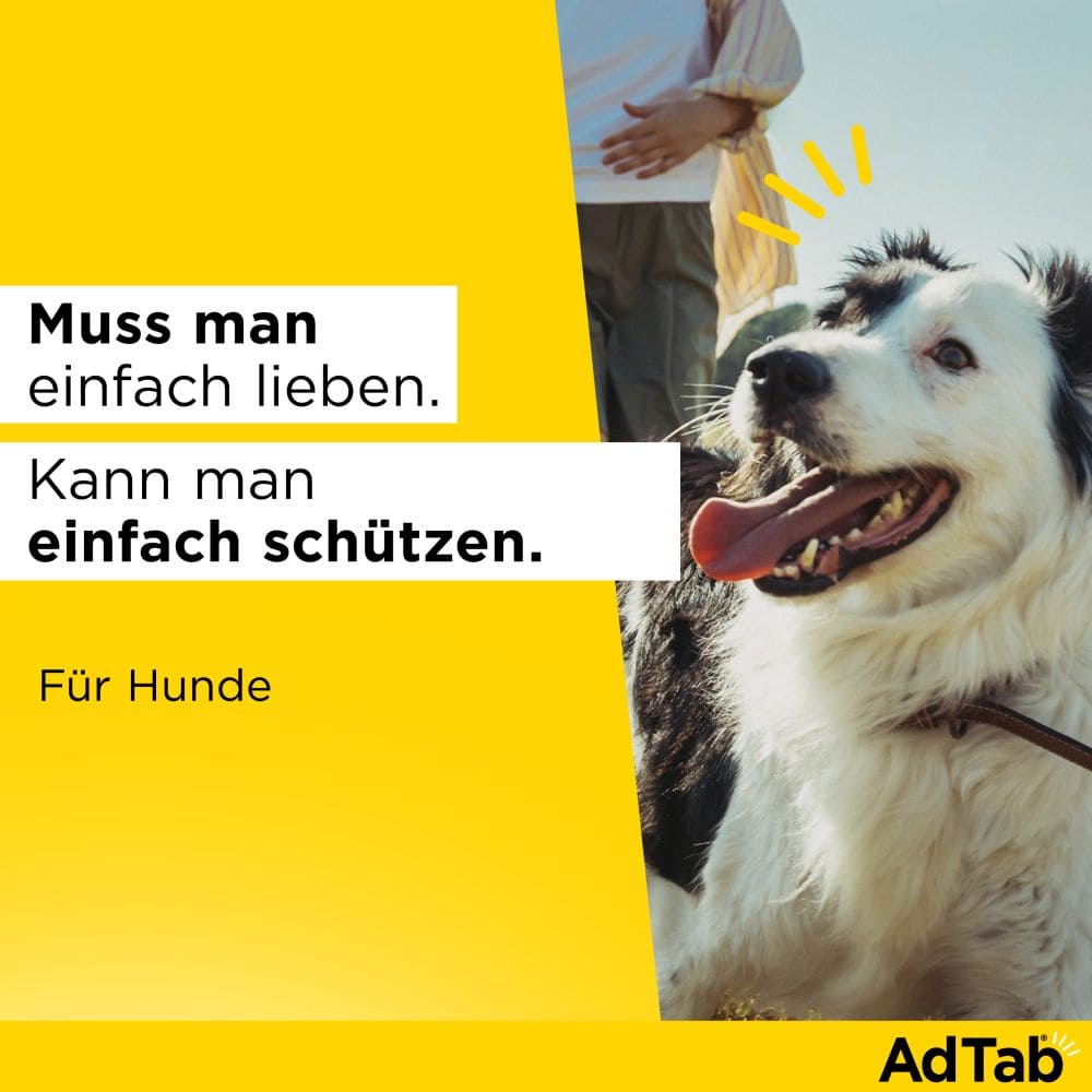 AdTab Kautabletten 112mg für Hunde 2,5-5,5 kg Elanco 3 St Kautabletten