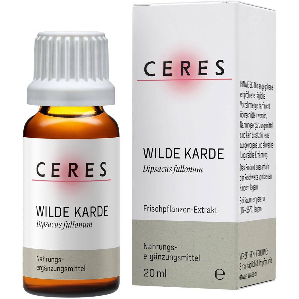 CERES WILDE KARDE DIPSACUS