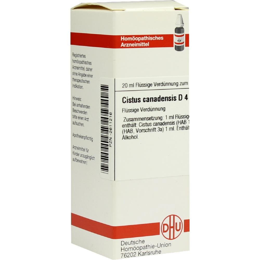 CISTUS CANADENSIS D 4 Dilution 20 ml Dilution