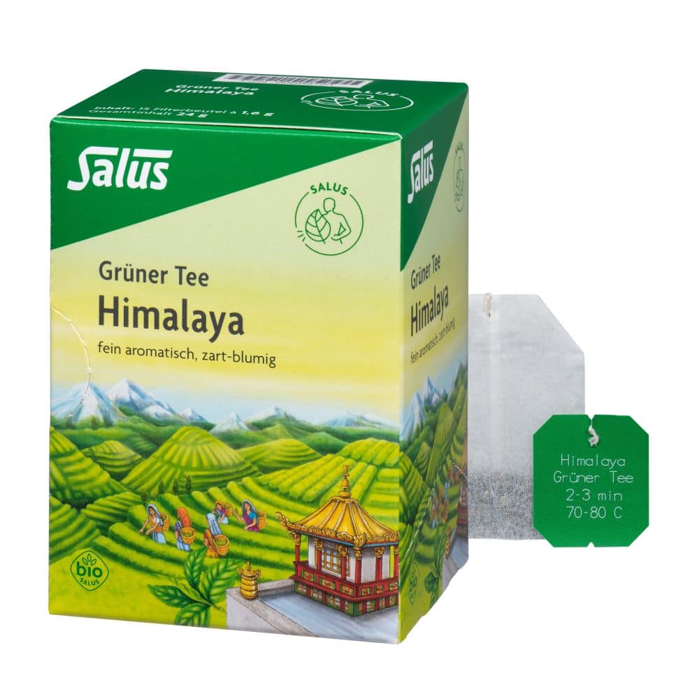 Salus Grüner Tee Himalaya Bio  15 St Filterbeutel