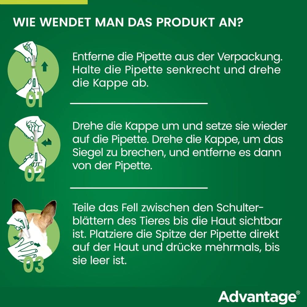 Advantage 100 Lösung zum Auftropfen für Hunde 4-10 kg 4 St Lösung