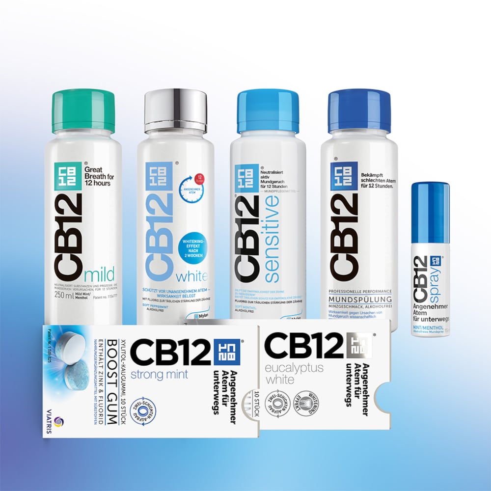 CB12 BOOST GUM strong mint XYLITOL-KAUGUMMI 10 St Kaugummi