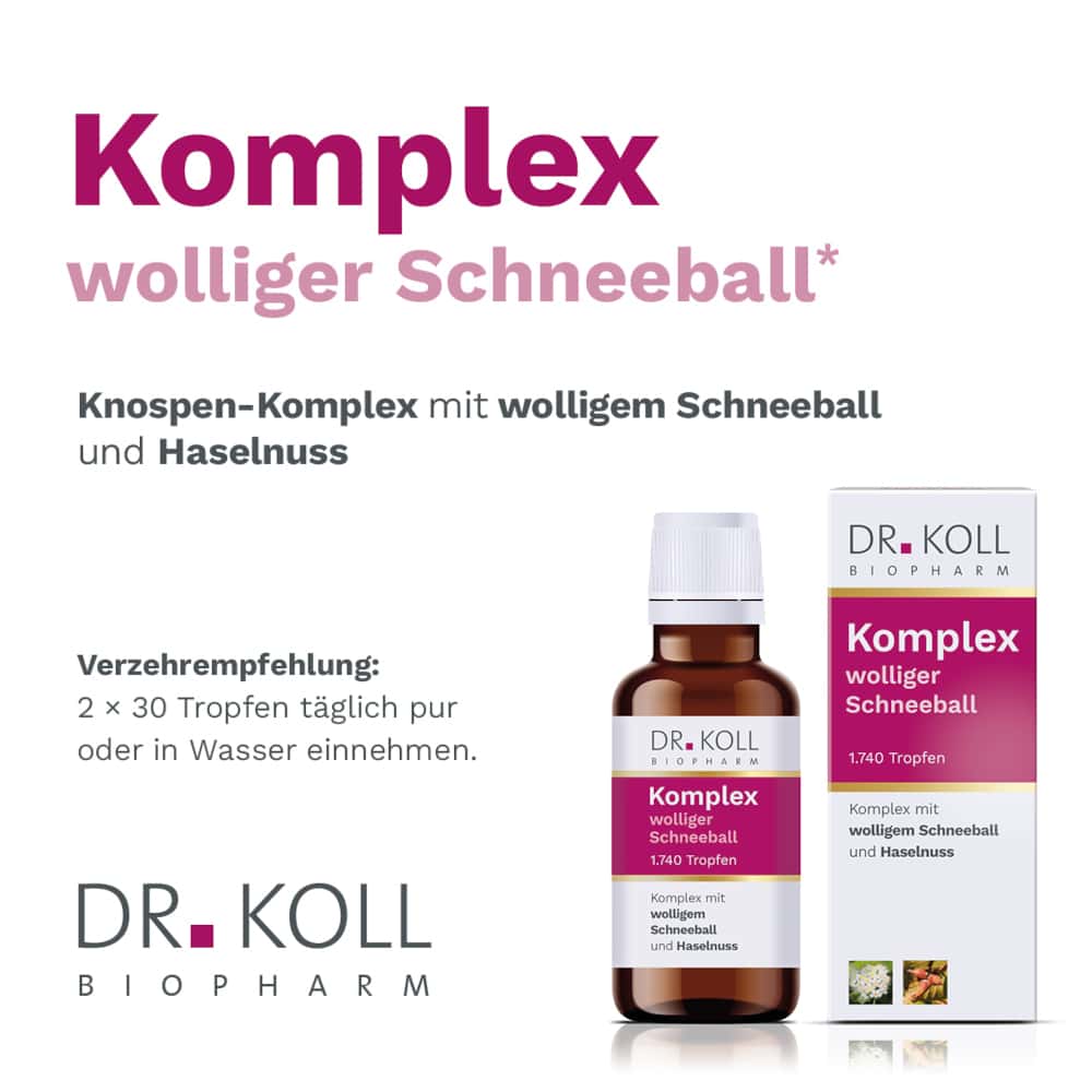 Dr. Koll Komplex wolliger Schneeball 50 ml Tropfen