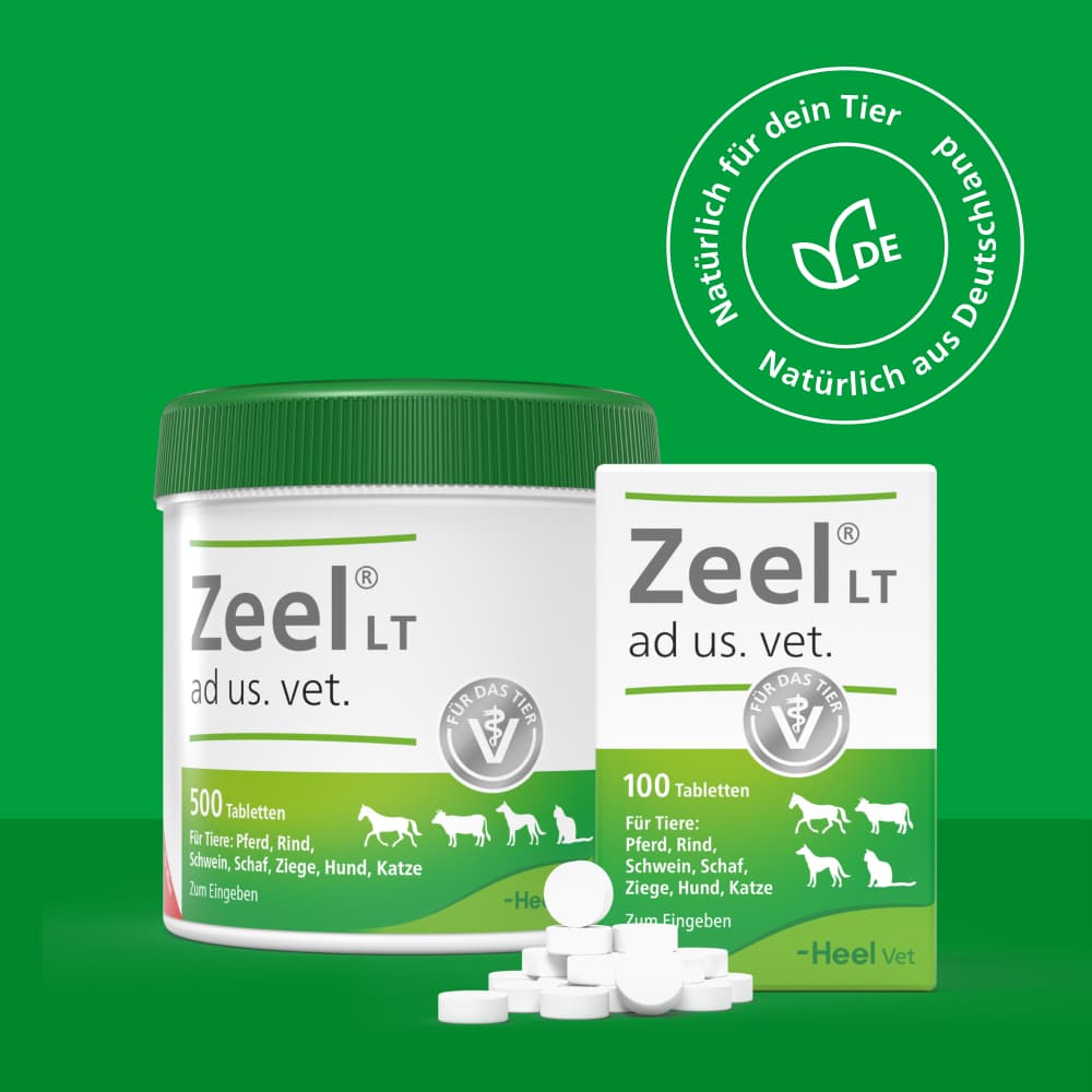 Zeel ad us. vet. 100 St Tabletten