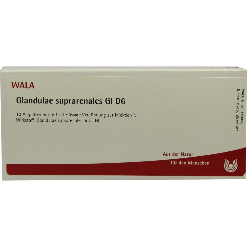 Glandulae suprarenales GL D6 10X1 ml Ampullen
