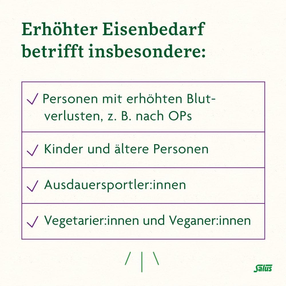 Floradix Eisen plus B-Vitamine 40 St Kapseln