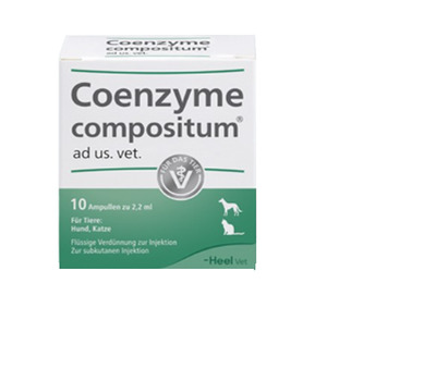 COENZYME compositum ad. us. vet. 10 St Ampullen