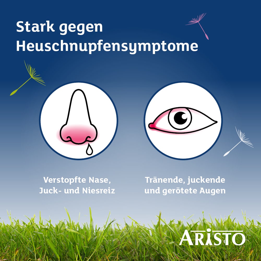 Desloratadin Aristo 5mg 100 St Filmtabletten