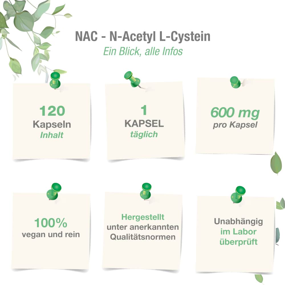 vitabay NAC 600mg 120 St Kapseln