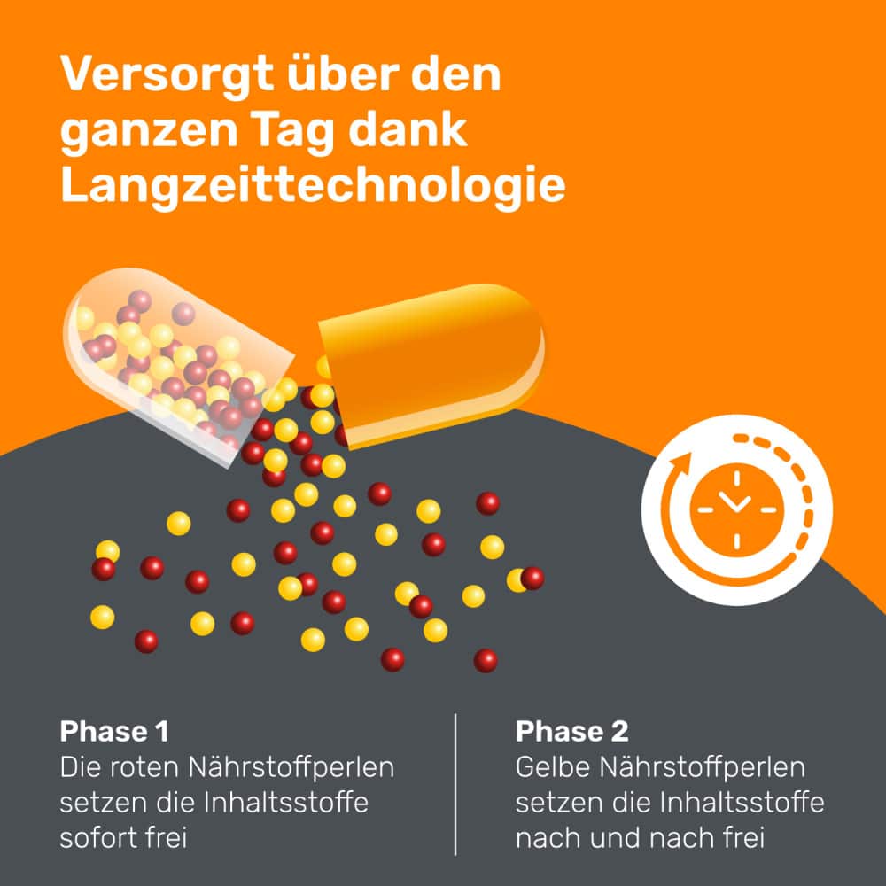 EUNOVA LANGZEIT Multivitamine und Mineralstoffe  60 St Kapseln
