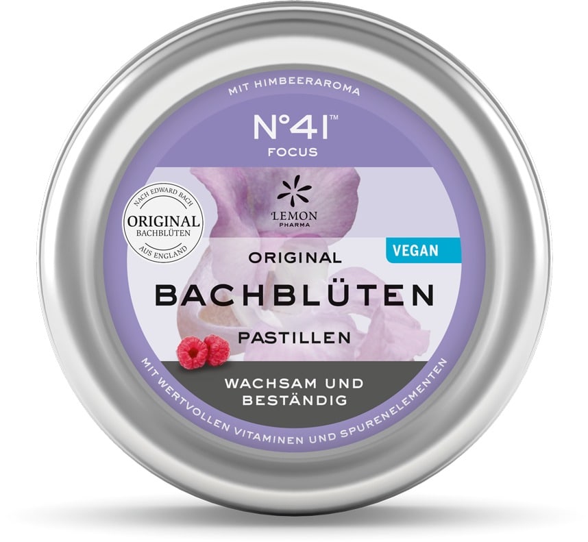 ORIGINAL BACHBLÜTEN PASTILLEN No 41 FOCUS 50 g Pastillen