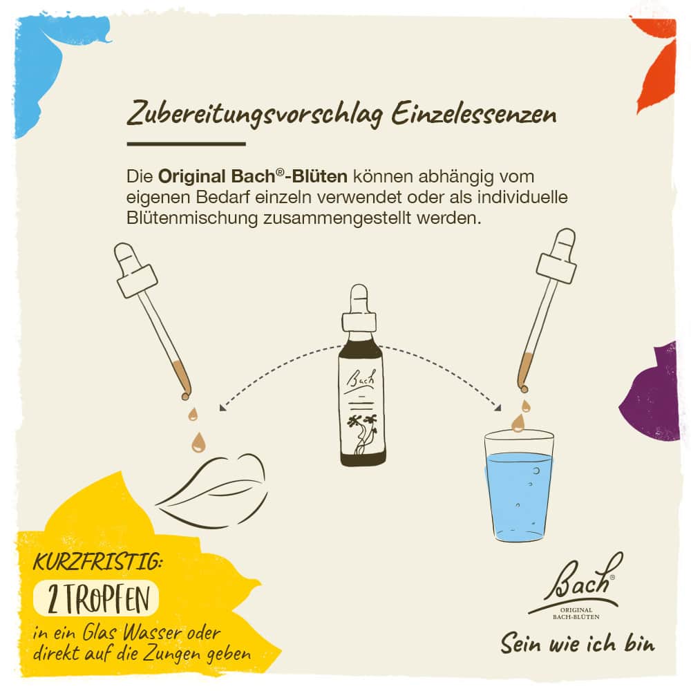 BACHBLÜTEN Original Gorse Nr. 13 20 ml Tropfen