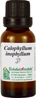 CALOPHYLLUM inophyllum Öl 20 ml Öl